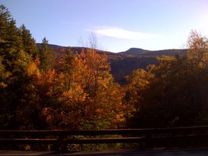 Roadside view from the walk to Kaaterskill Falls